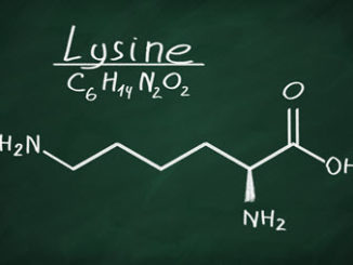 L-Lysin gegen Herpes