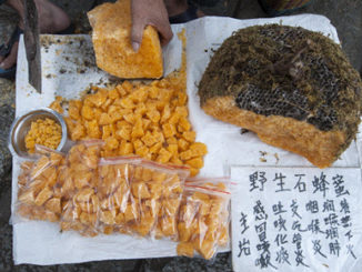 Propolis gegen Herpes